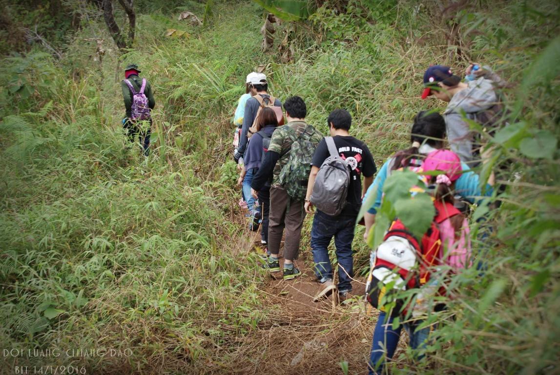 Chiang Dao Hostel Eksteriør bilde