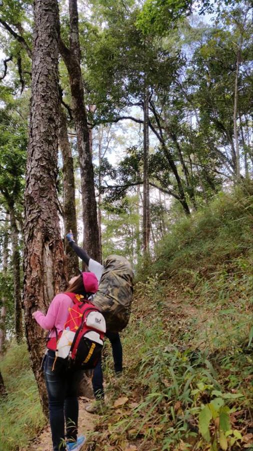 Chiang Dao Hostel Eksteriør bilde