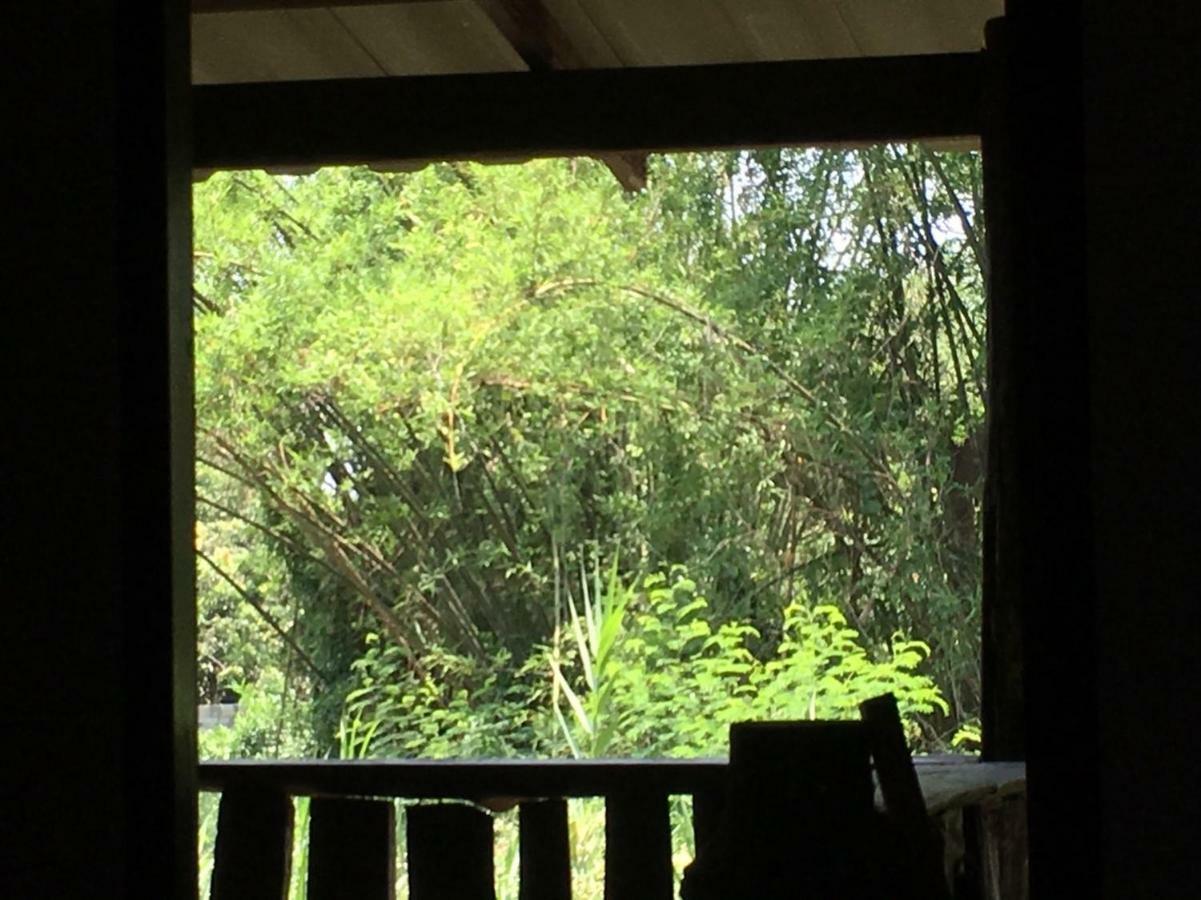 Chiang Dao Hostel Eksteriør bilde