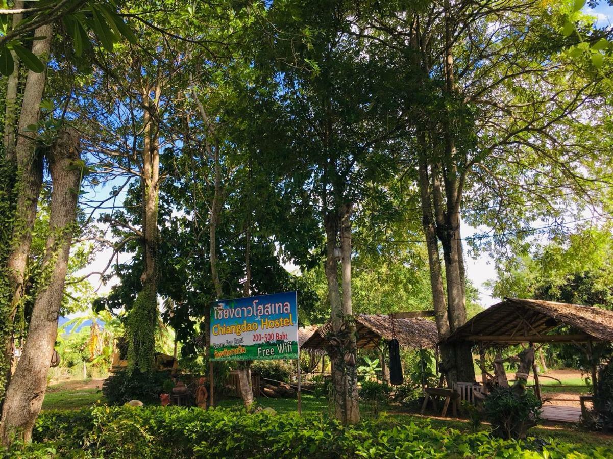 Chiang Dao Hostel Eksteriør bilde